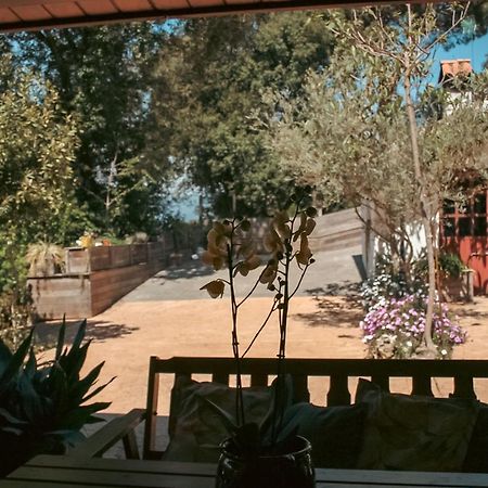 فيلا Casa Magnolia Dosrius المظهر الخارجي الصورة